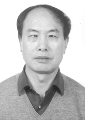 韓棕樹(shù) 