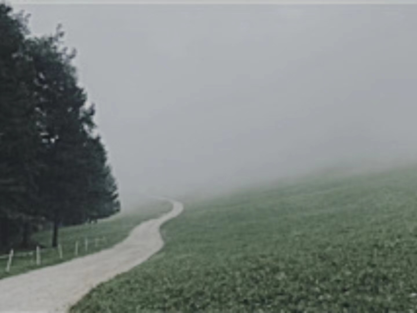 【輯一】南部山區：有時在大風中，群山似乎在奔跑走在山間公路上/山崖在左，溪水在右/轉過兩座山，山崖到了右邊，溪水來到左邊[詳細]