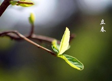 《立春》大年三十這一天，天難得放晴了。村子里到處明晃晃的，陽光映照著雪地，仿佛琉璃世界。[詳細]