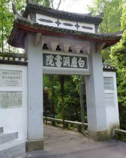 張銳鋒：白鹿洞隨想
