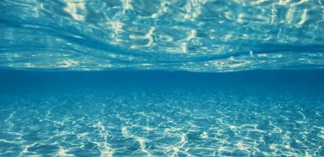 網(wǎng)絡(luò)文藝的魅力在于打破邊界、匯聚力量